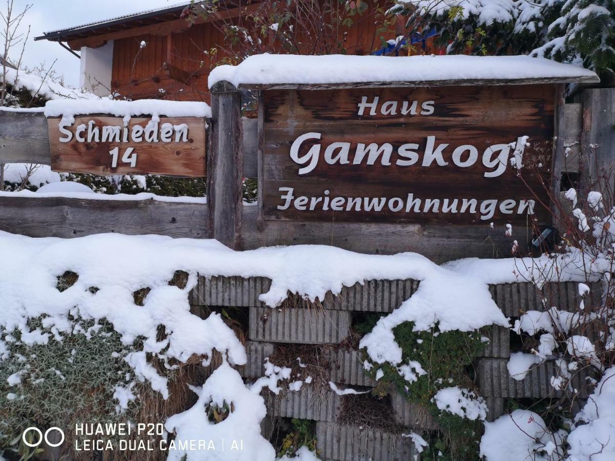 ノイシュティフト・イム・シュトゥーバイタールHaus Gamskoglアパートメント エクステリア 写真